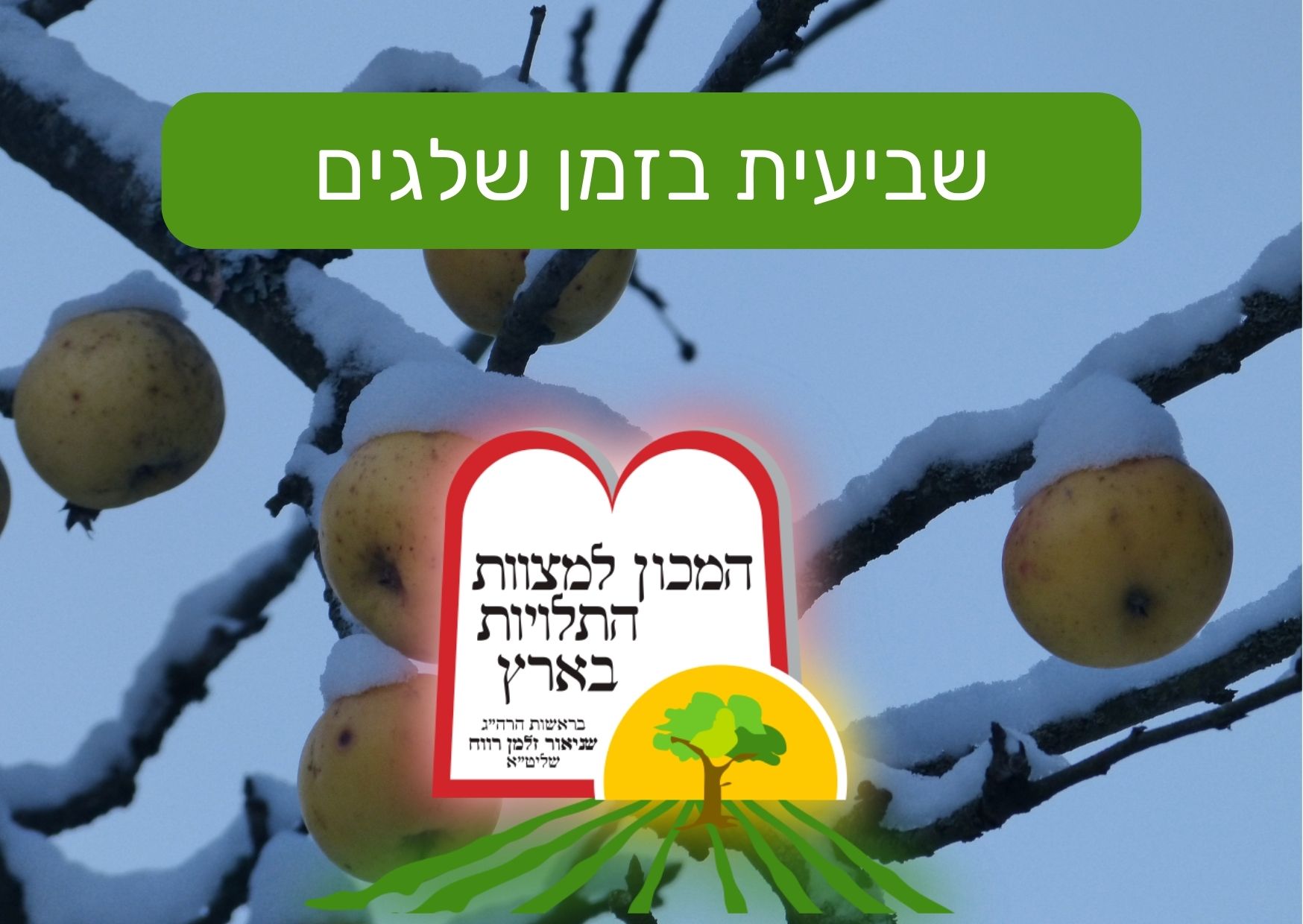 שביעית בזמן שלגים
