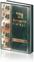 אוצר התשובות שביעית א