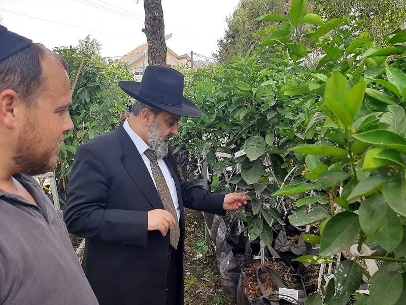סיור משתלות
