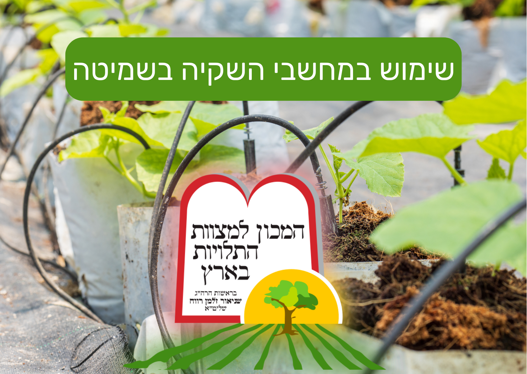 שימוש במחשבי השקיה בשמיטה